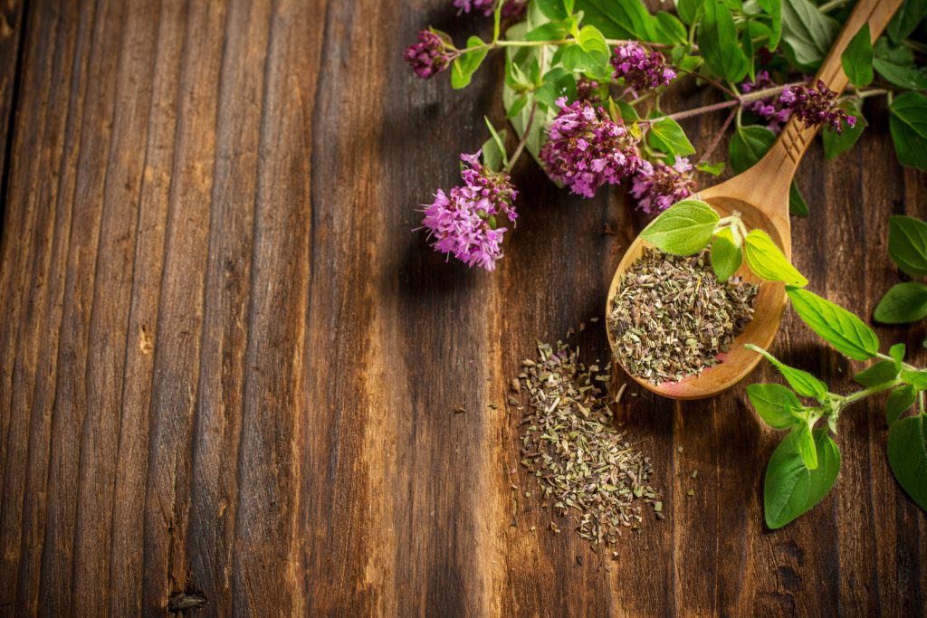Dried oregano in a wooden spoon and twigs of fresh green oregano with flowers on dark wooden background. selective Focus